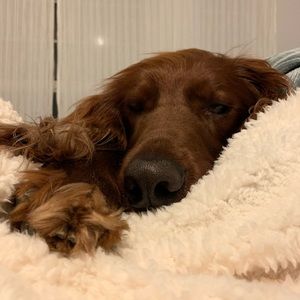 Meet your Posher, Chloe